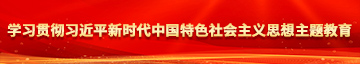 粉嫩小逼被爆操视频学习贯彻习近平新时代中国特色社会主义思想主题教育